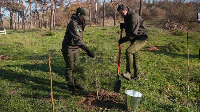 Высадка деревьев в городе. ФОТО: Общественное Николаев