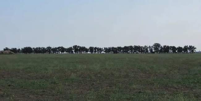 ФОТО: Прозорро.Продажі