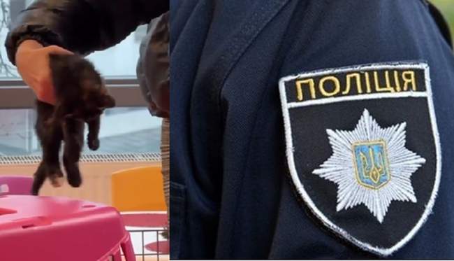 ФОТОКОЛАЖ: Інтент