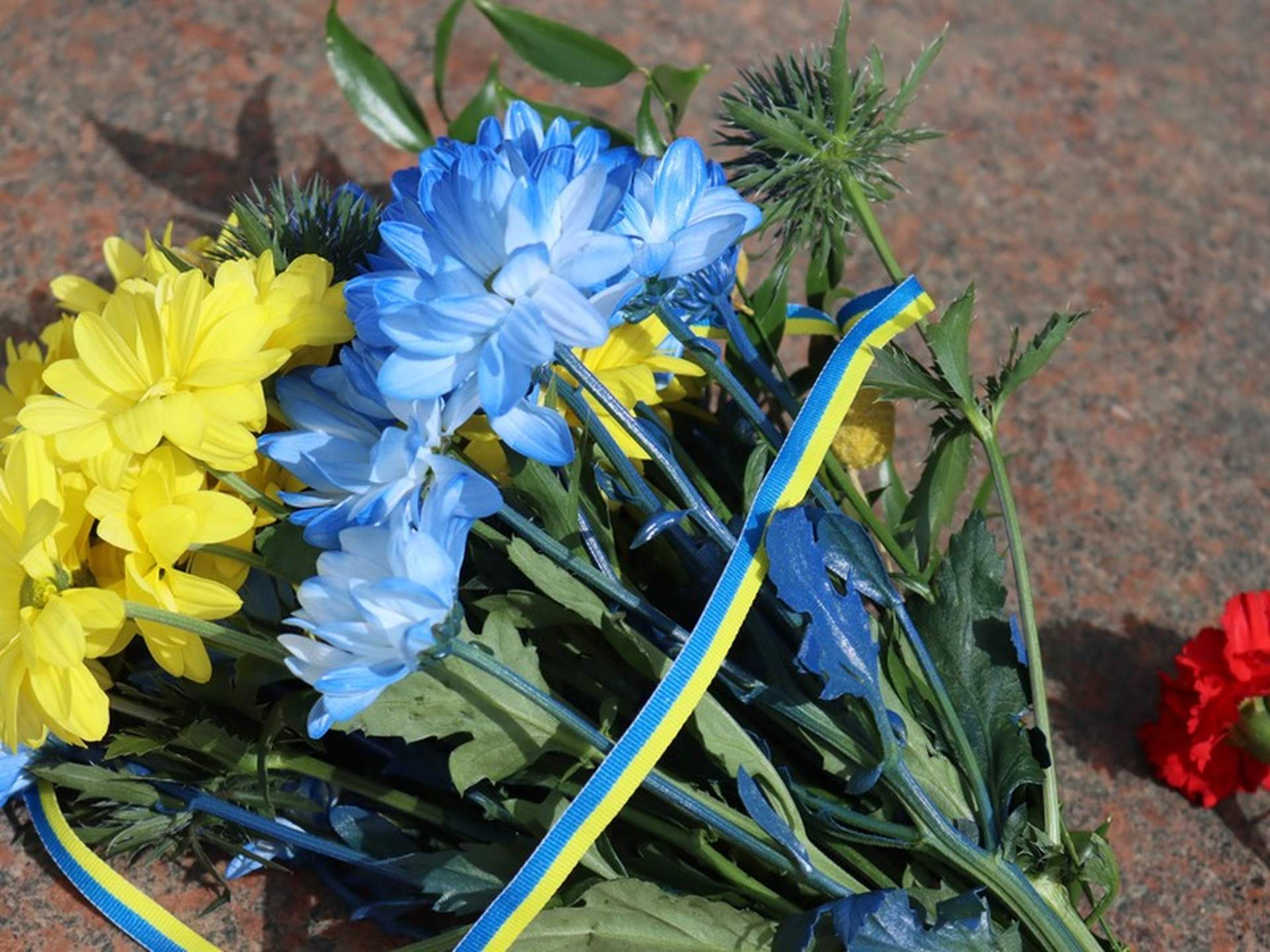 У Миколаєві вшанували пам'ять жертв Другої світової війни