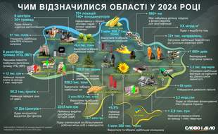 Миколаївщина лідирує за інфляцією, Одещина - аграрний лідер