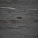 Як рятували екіпаж танкера "Делфі"