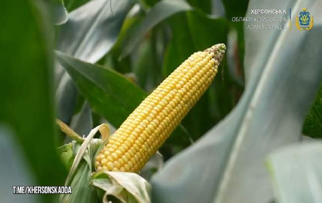 Скріншот з відео ОДА