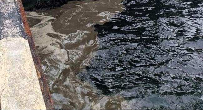 Сліди витоку олії. ФОТО: Державна екологічна інпекція
