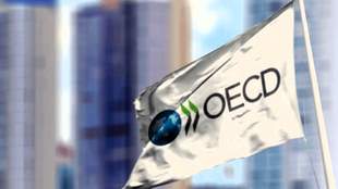 Мир бьет тревогу: антикоррупционный закон Зеленского угрожает инвестициям и восстановлению