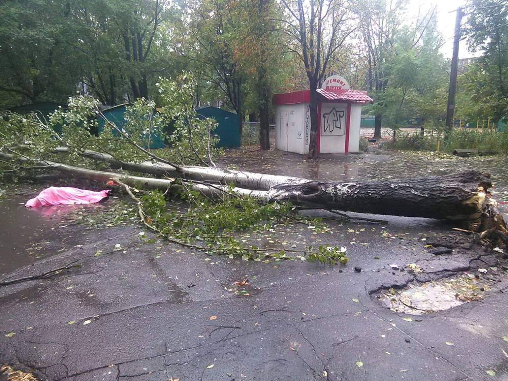 Одесский ураган: поломанные деревья и упавший кран  