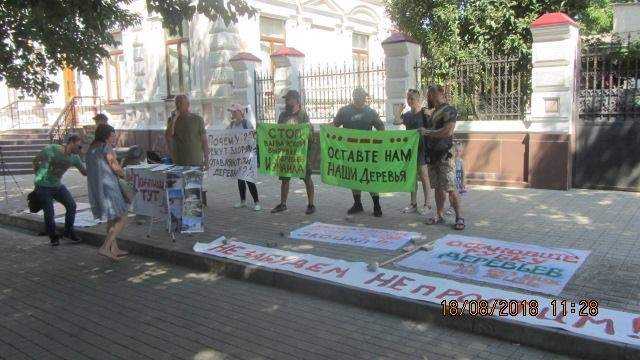 Измаильчане собирают подписи против уничтожения в городе здоровых деревьев
