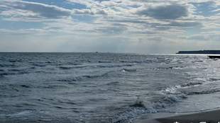 Вернули 125 гектаров: прокуратура Николаевщины прекратила махинации с землей