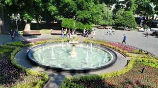 Миллионы на цветы и скамейки: как и на что "Горзелентрест" Одессы тратил деньги