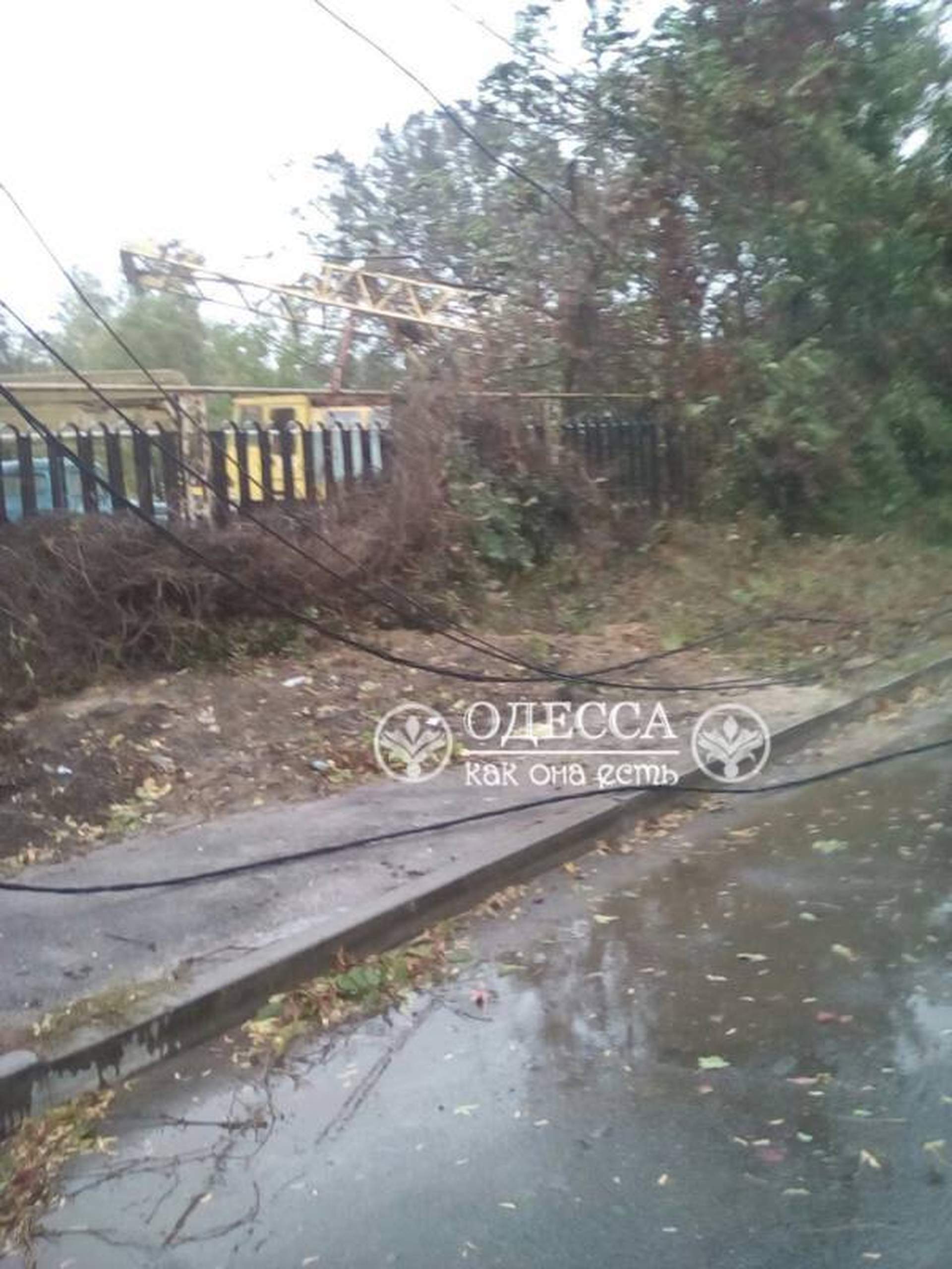 Одесский ураган: поломанные деревья и упавший кран  