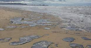 Нафтова пляма із затонулих танкерів прямує до заповідників