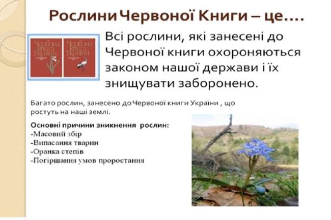 Стоп-кадр из видео