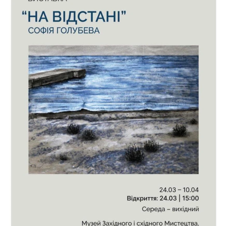 Виставковий проєкт Софії Голубевої "На відстані"