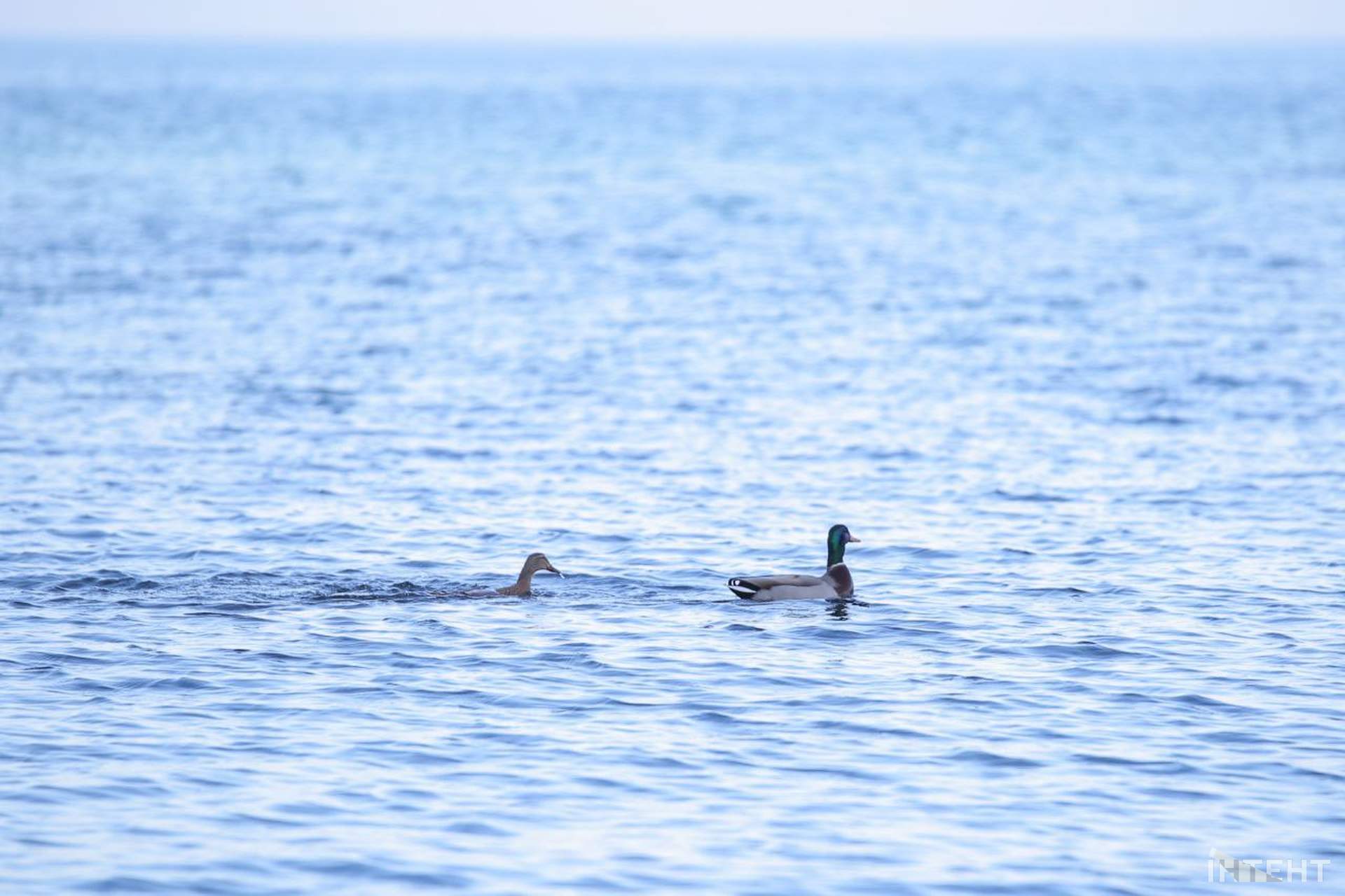 На одеські пляжі прийшла друга воєнна весна