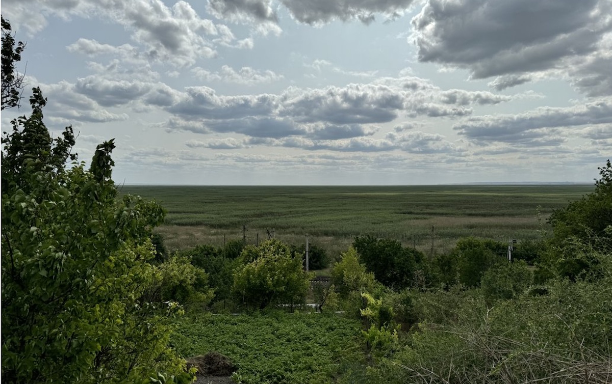 Nature Returns: Life Regrows at the Former Kakhovka Reservoir