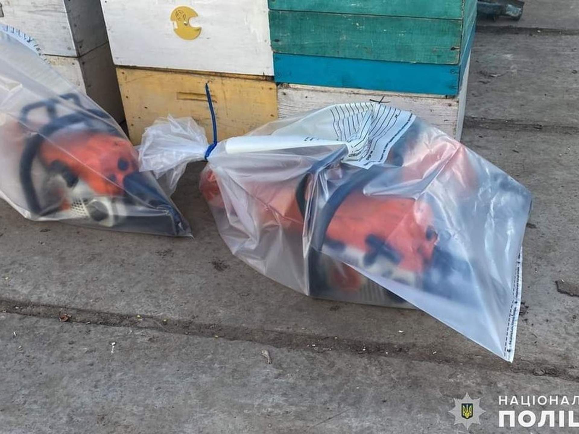 "Чорні лісоруби" Миколаївщини завдали збитків державі майже на пів мільйона