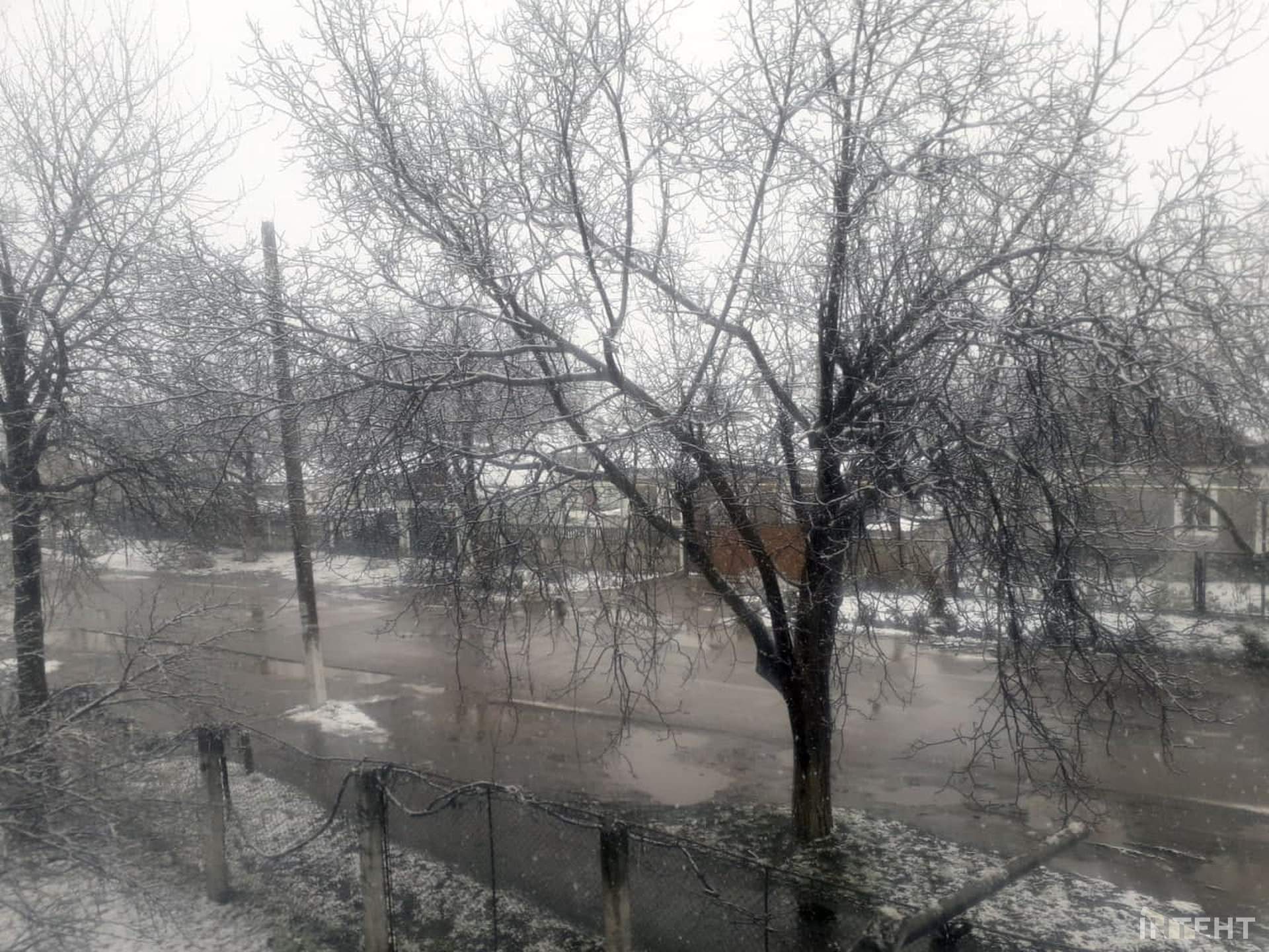 На Одещині пішов квітневий сніг