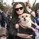 В одеському парку вперше випустили реабілітованих кажанів