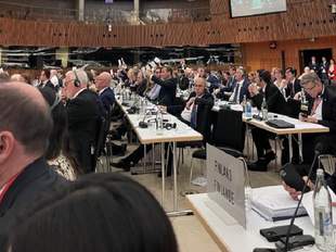 Парламентська асамблея НАТО визнала термін "рашизм" та засудила його як ідеологію