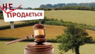 Land Bank accuses village council in Odesa region of blocking land auctions