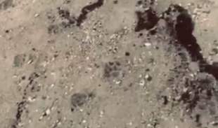 Російський мазут знову сплив на Одещині