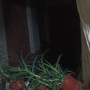 Більша частина Одеси через знеструмлення залишилася без води