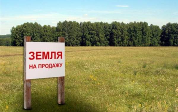 Photo: Boundary