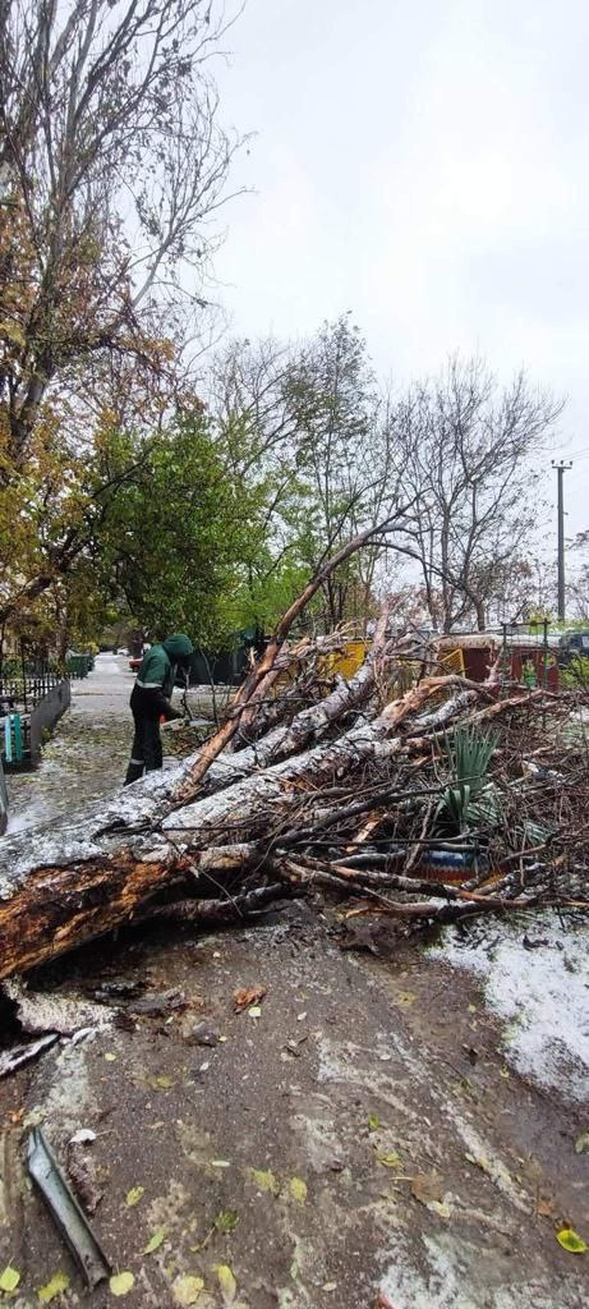 Заборонений рух трасами та знеструмлення: на Одещині вирує негода