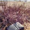 Документи, які знайшли на узбережжі Одещини, можуть належати російському зв'язківцю