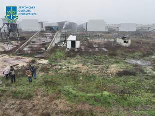 За фактом гибелі мільйонів курей на Херсонщині розпочато розслідування