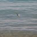 На одеські пляжі прийшла друга воєнна весна