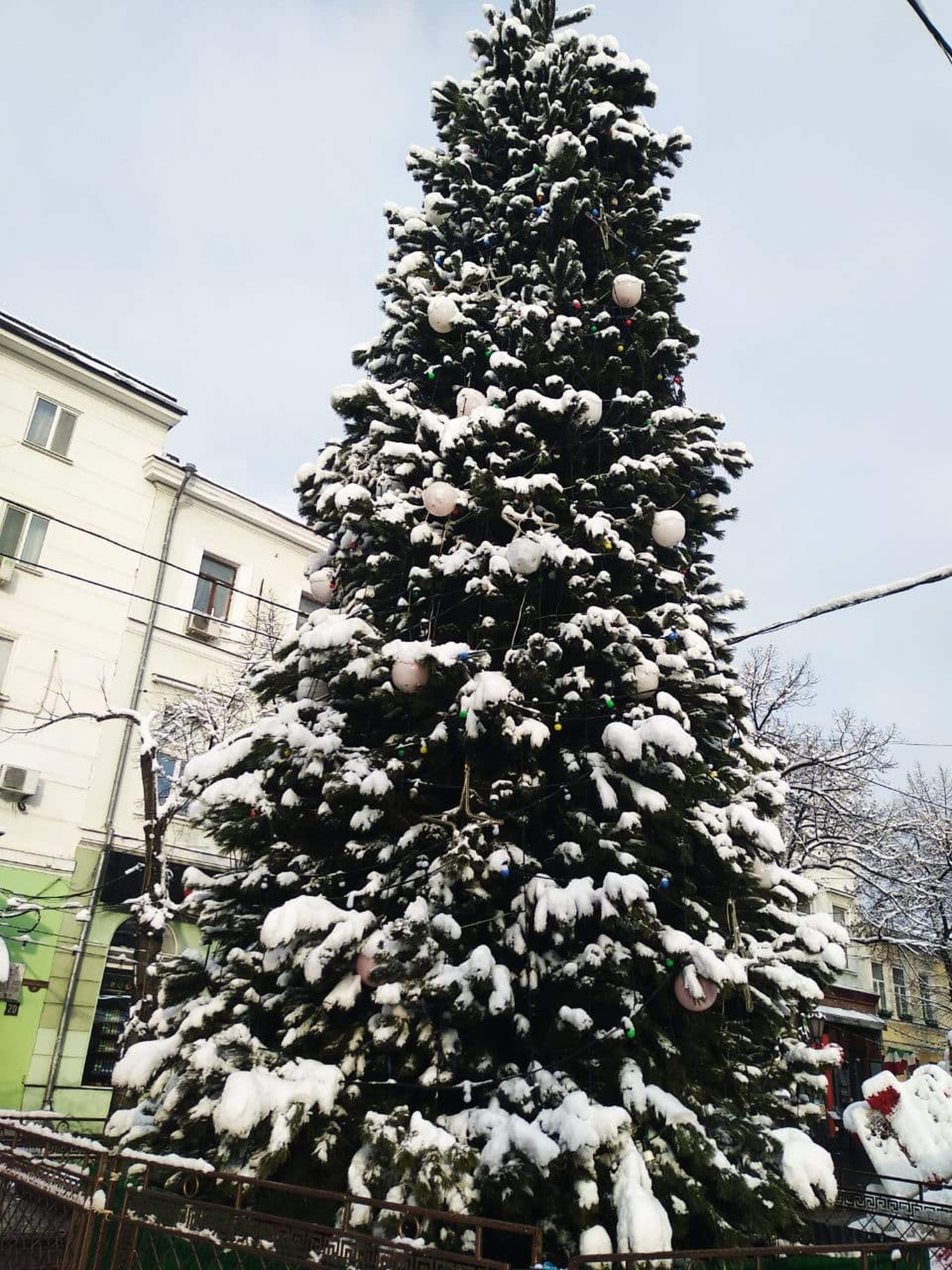 Одесу завалює снігом