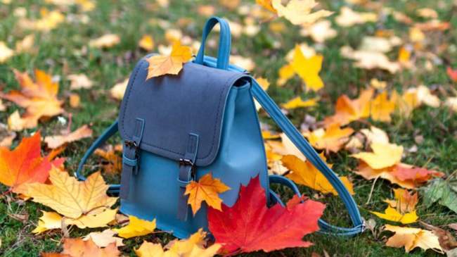 Autumn vacation. PHOTO: dzerkalozakarpattya.com