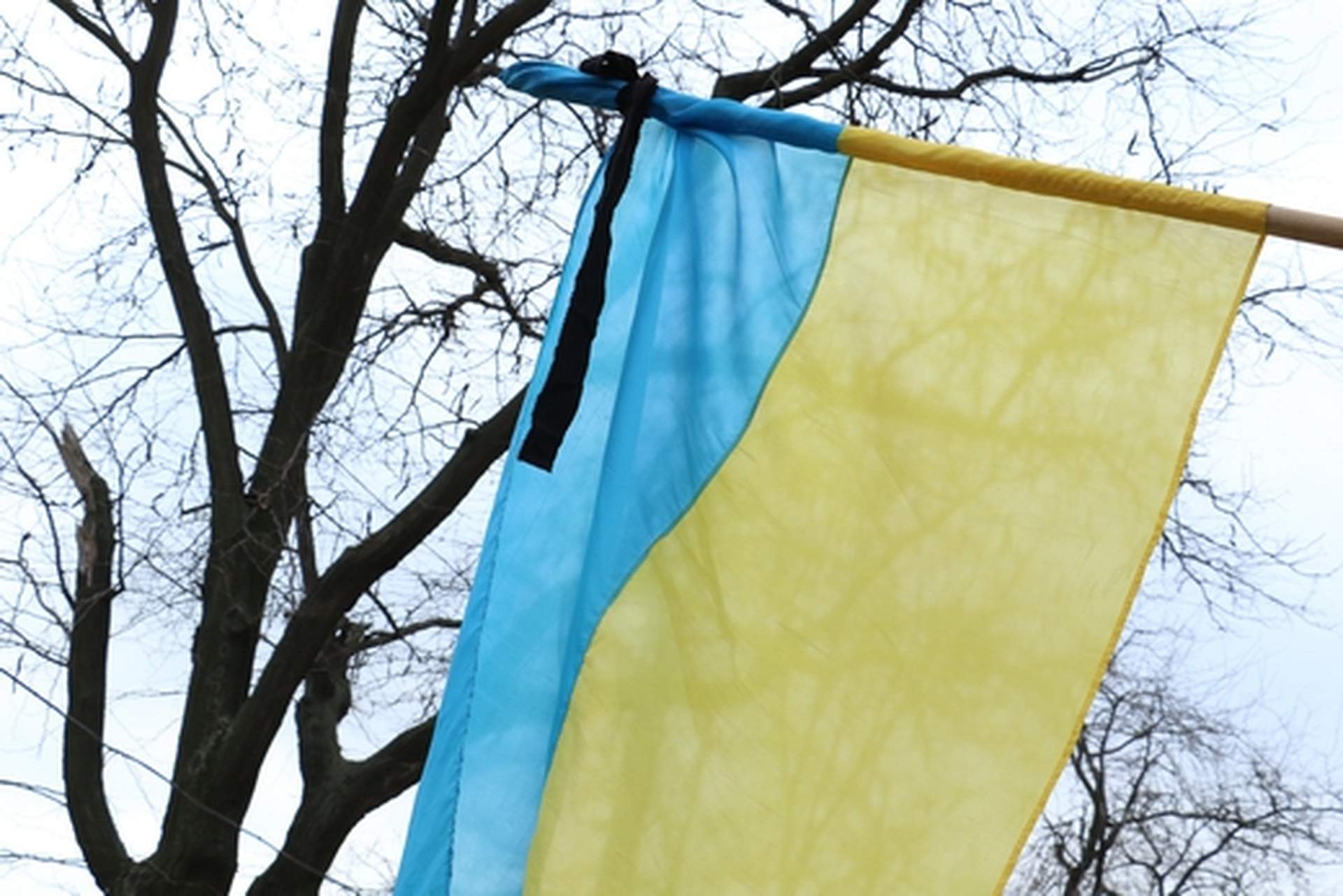 В Одессе почтили память жертв голодомора