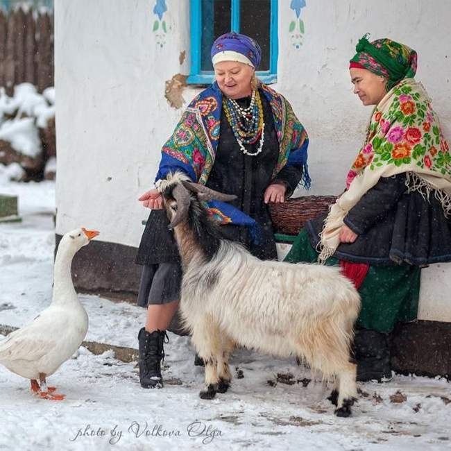 ФОТО: Ольга Волкова