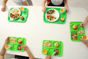 Школьные столовые Николаевщины не готовы к учебному году