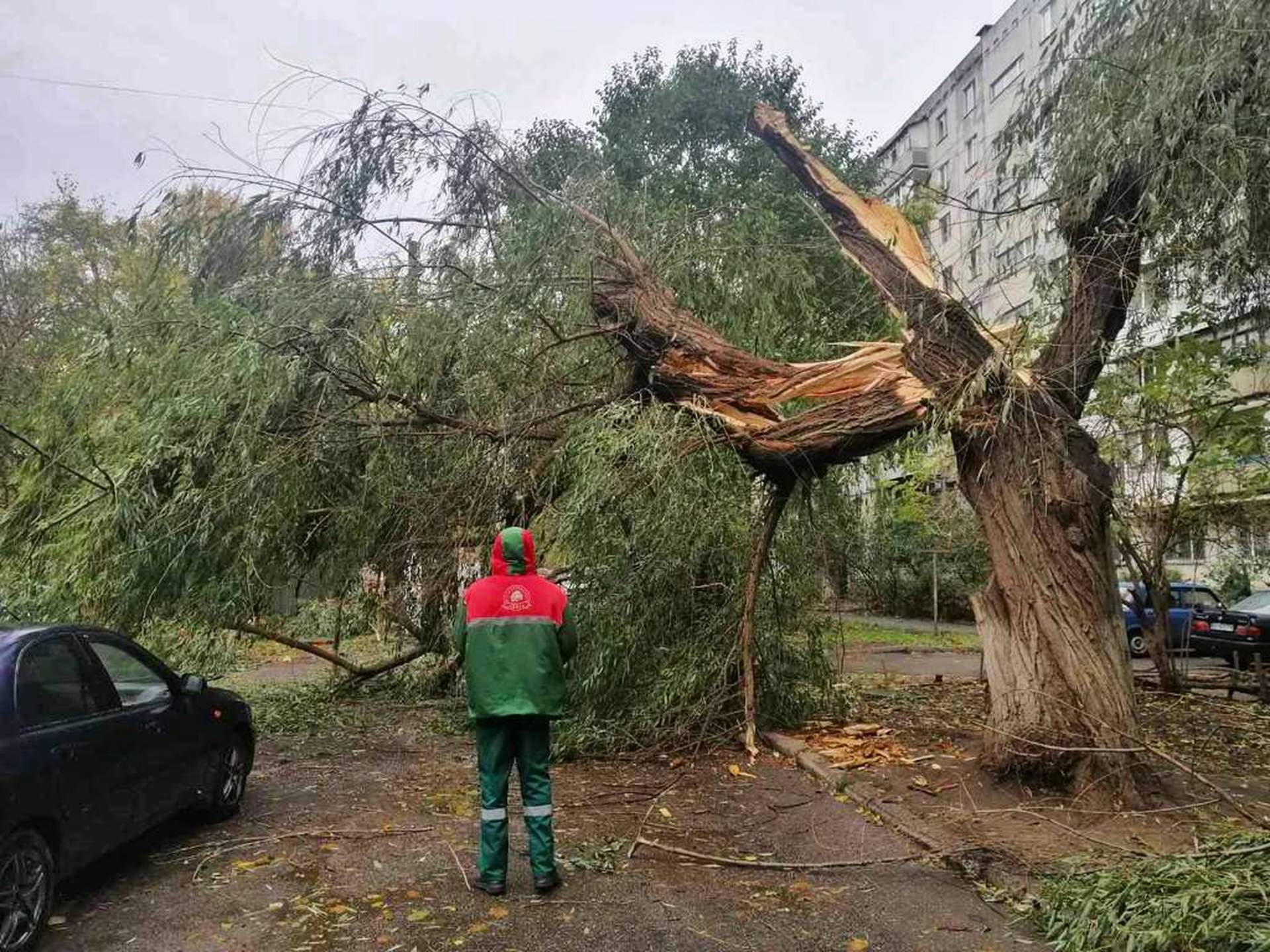 Негода позбавила електроенергії 12 населених пунктів на Одещині