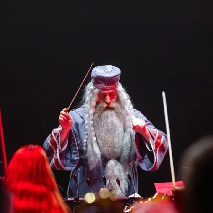 Концерт "The Harry Potter Symphony"