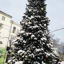 Одесу завалює снігом