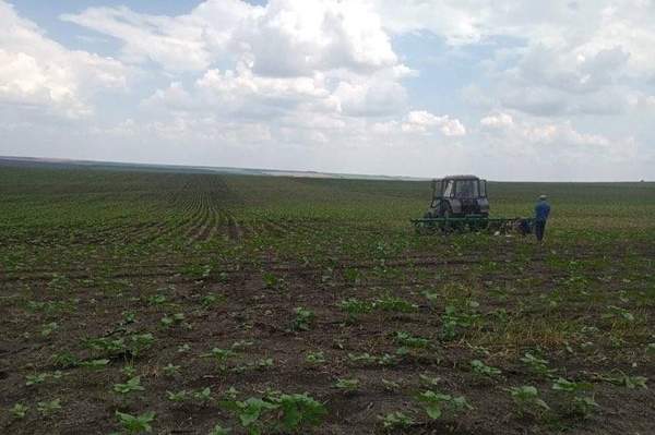 Директора підприємства підозрюють у захопленні землі площею понад 100 га у Ширяївському районі