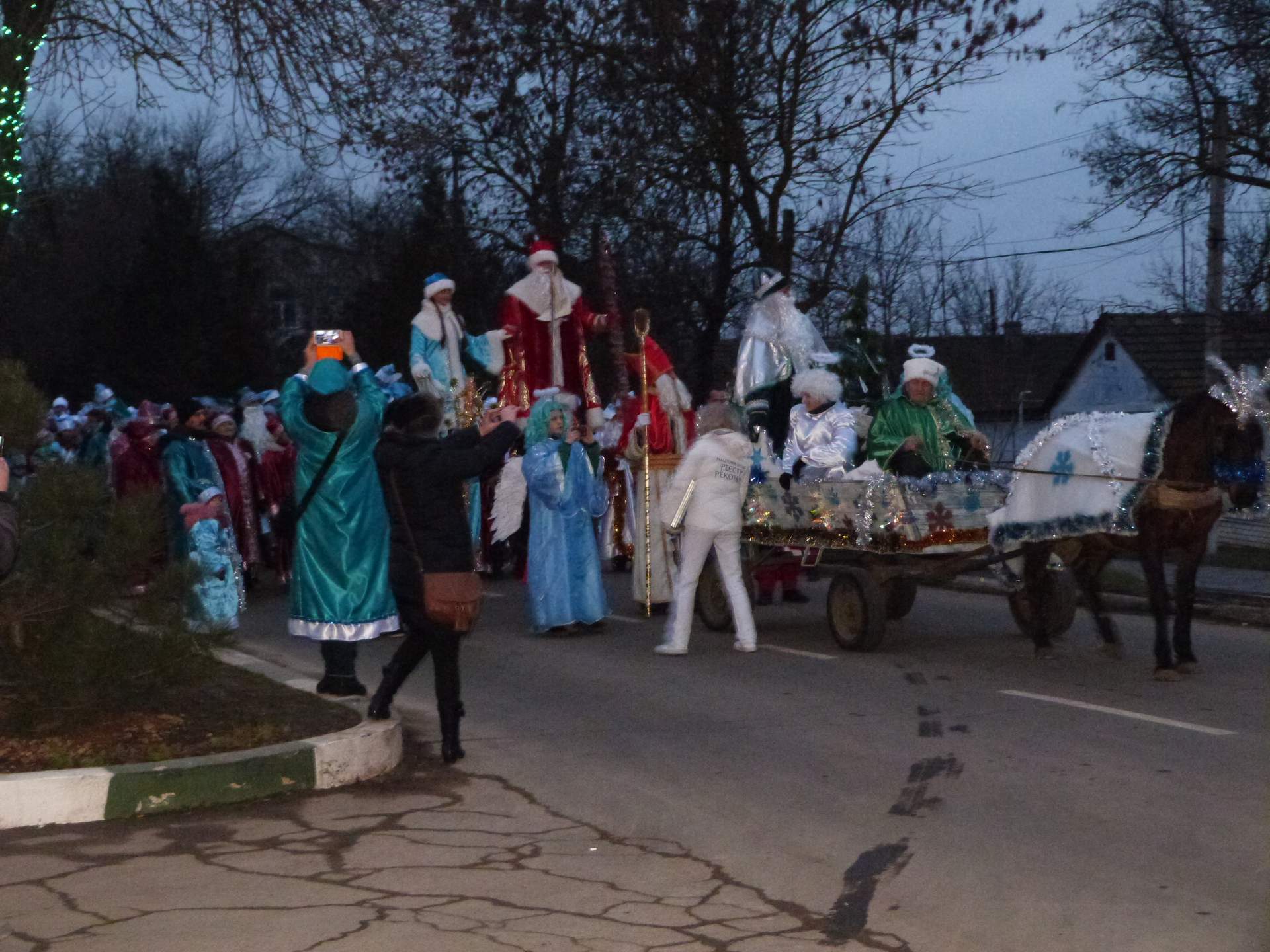 Парад Миколаїв, ялинка з олівців і залізна Біблія: у Доброславі зафіксували три національні рекорди