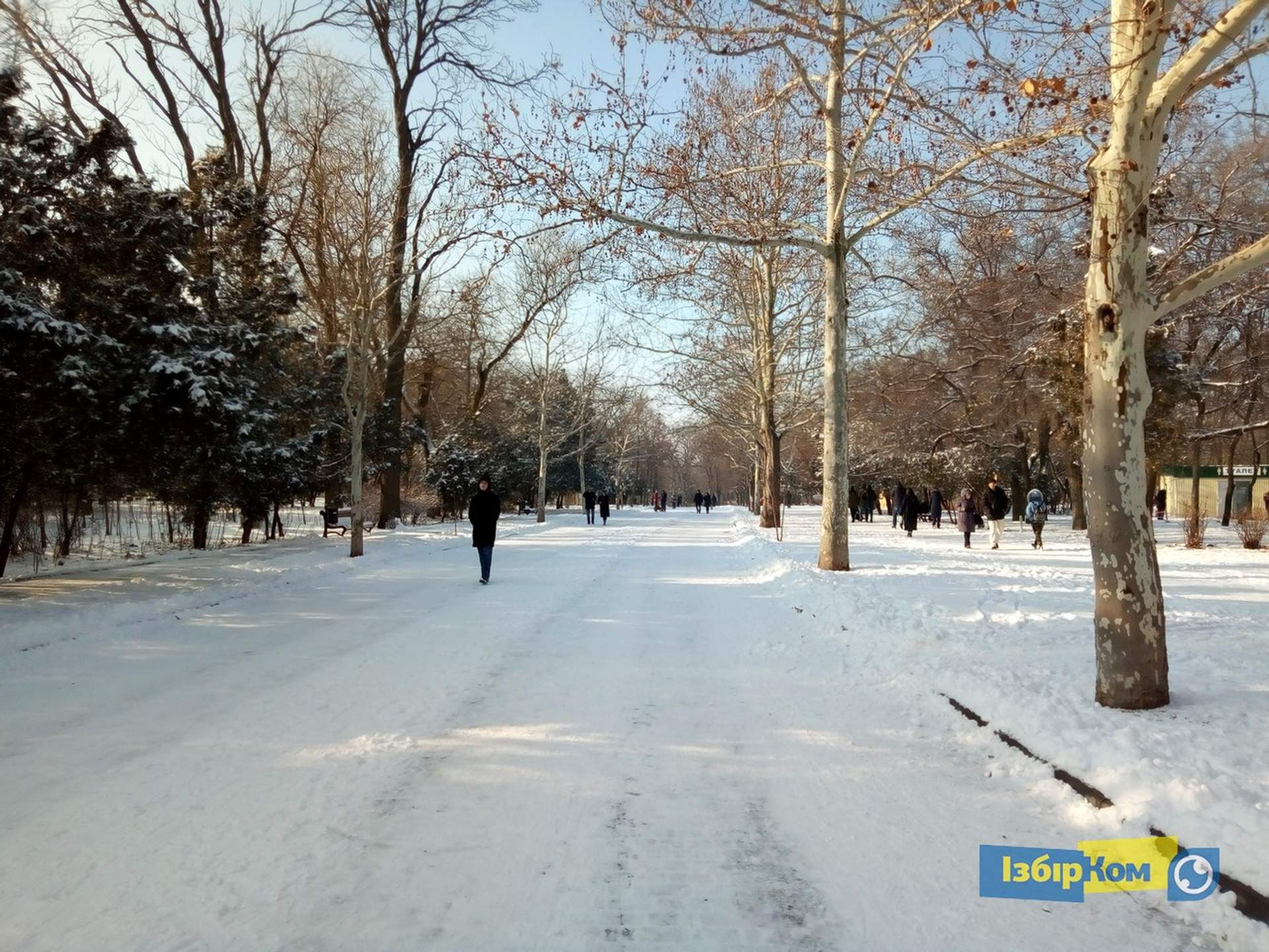 Снег в Одессе: катание на санках и прогулки к морю