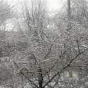 На Одещині пішов квітневий сніг