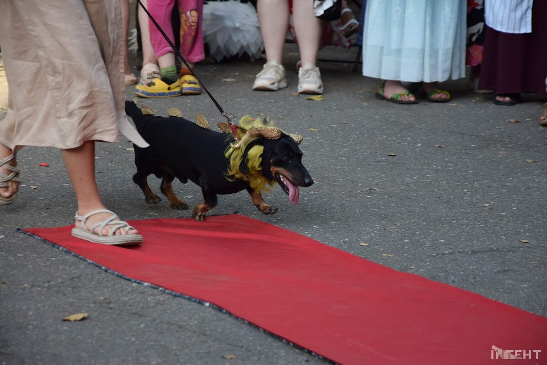 Odesa Comic Wave: фоторепортаж від Інтент