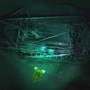 Ученые сделали 3D фото затонувших в Черном море византийских кораблей