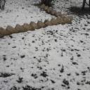 На Одещині пішов квітневий сніг