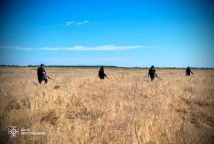 На звільненій території Херсонщини від вибухівок розчищено понад 300 тисяч гектарів