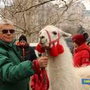 Ярмарка «Скарби Одещини»