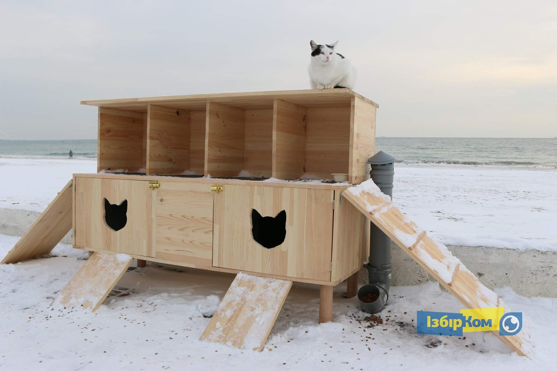 Как усатые жители Лузановки справляли новоселье