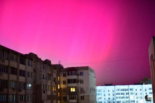 Фото: Владислав Балинський/Зелений лист